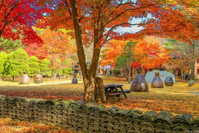 Private Trip to Nami Island and Ski Resort - Key Points
