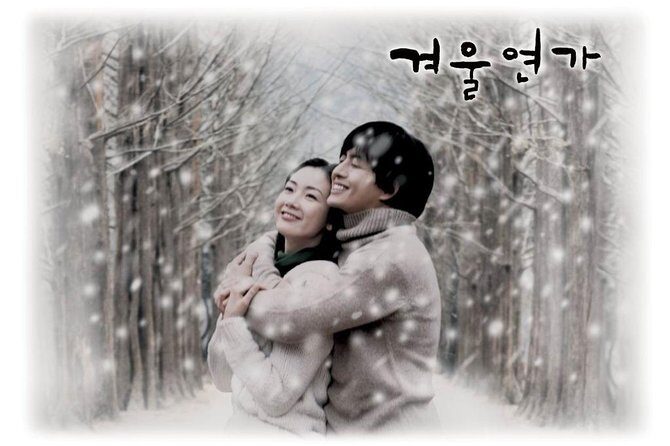 Private Trip to Nami Island and Ski Resort - Practical Tips for Making the Most of Your Day