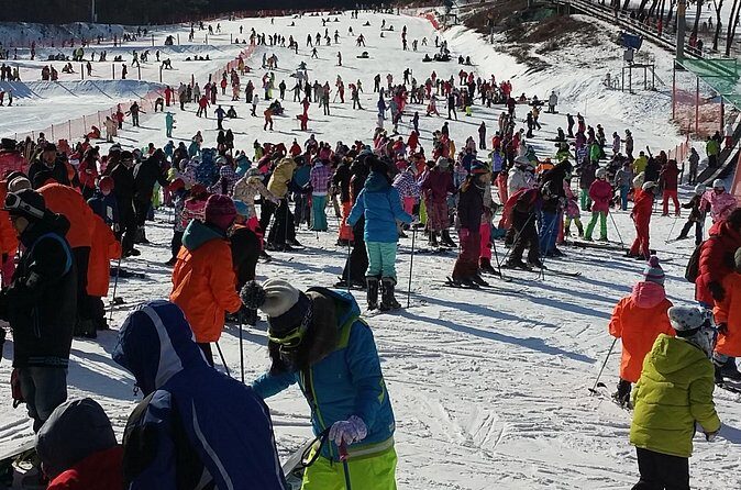 Private Trip to Nami Island and Ski Resort - The Sum Up: Is This Tour Worth It?