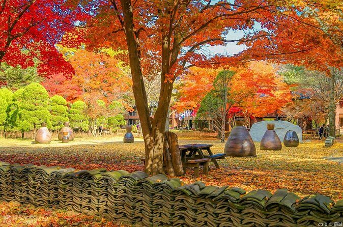 Private Trip to Nami Island and Ski Resort - FAQ