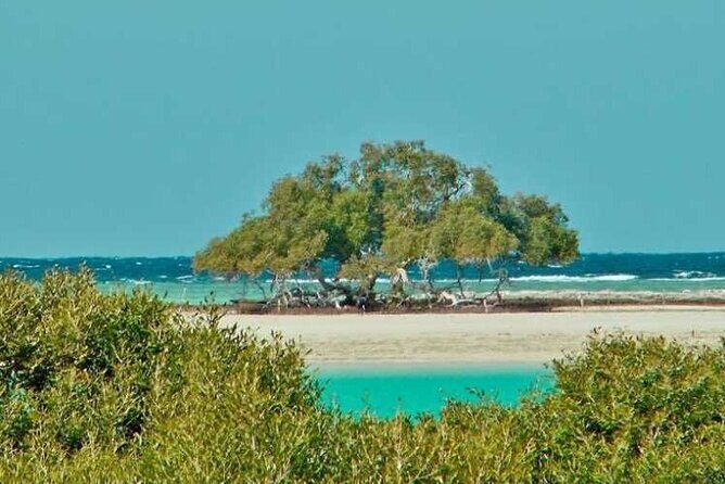Private Trip to sharm el Lulli and wadi el Qulaan from Marsa Alam - Transportation and Timing: Comfortable and Well-Organized  