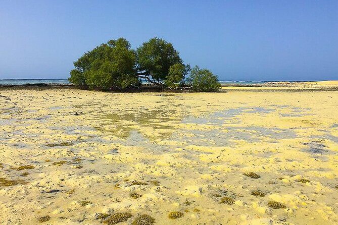 Private Trip to sharm el Lulli and wadi el Qulaan from Marsa Alam - FAQs  