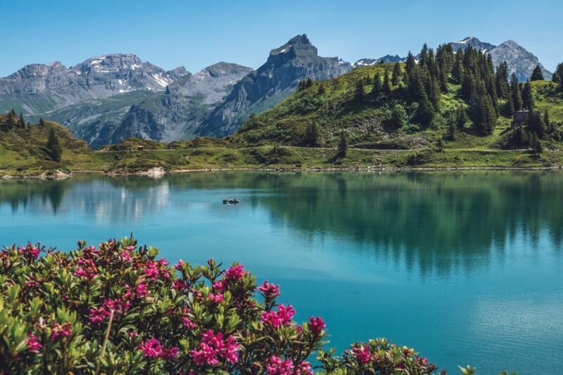 Private trip: Zurich to Mt. Titlis - rotary, ice cave, cliff - Who Will Love This Trip?