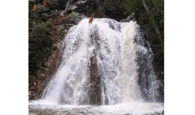Private Troodos 4x4 Tour -Guided by Mario from the SuperTeam - Transportation and Guide