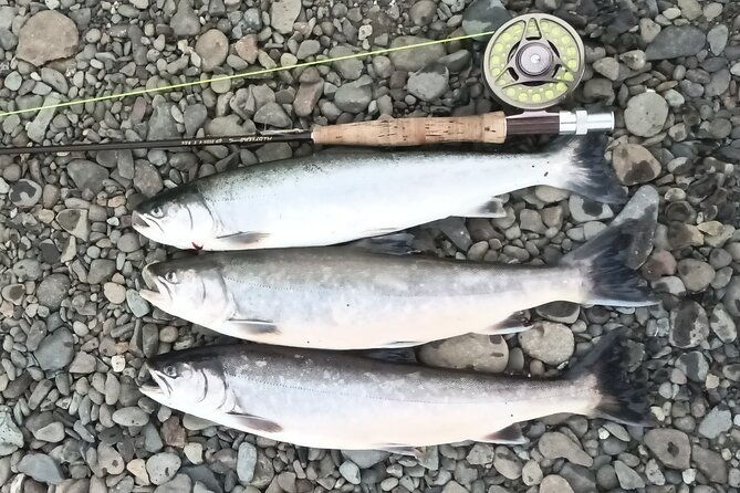 private-trout-and-char-fishing-in-icelandic-serenity-experience