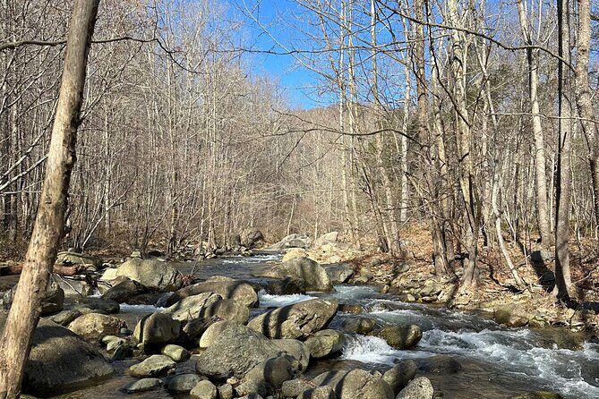 Private Trout Fishing Excursion in Virginia - Who Would Love This Tour?