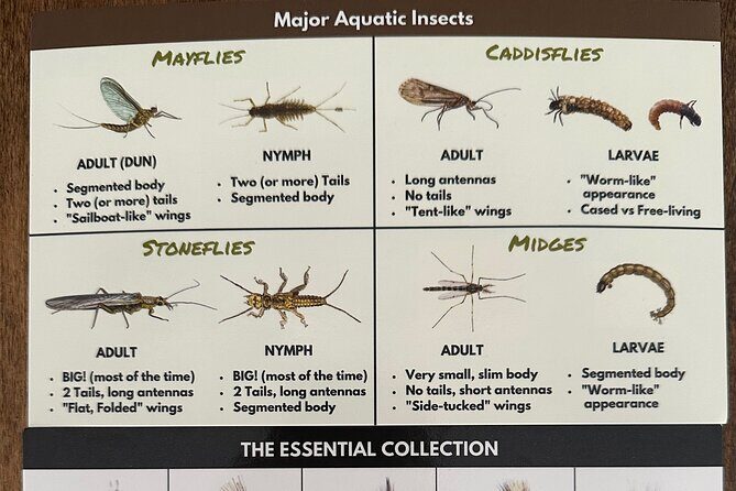 Private Trout Fishing Excursion in Virginia - The Sum Up