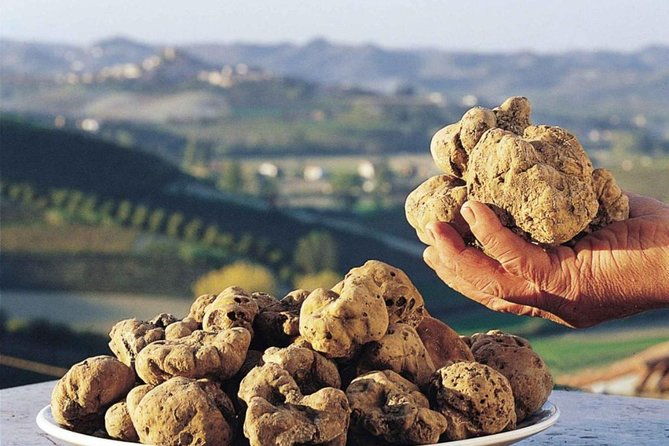 private-truffle-hunt-in-tuscany