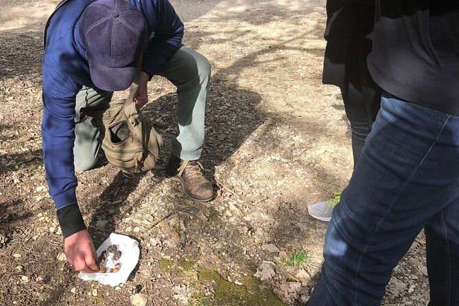private-truffle-hunt-in-tuscany