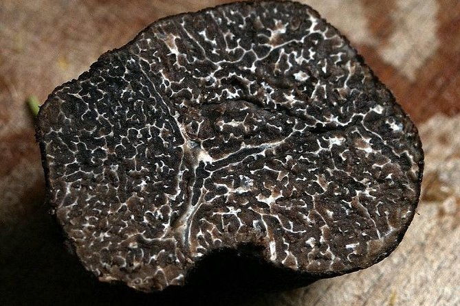 private-truffle-hunting-in-chianti