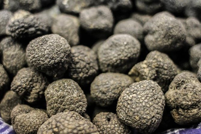 private-truffle-hunting-in-chianti