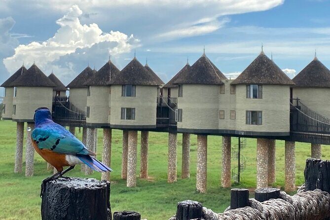 Private Tsavo East Tour - Key Points