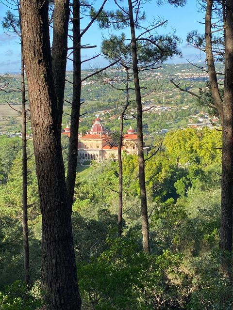 private-tuk-tuk-tour-around-sintra-2