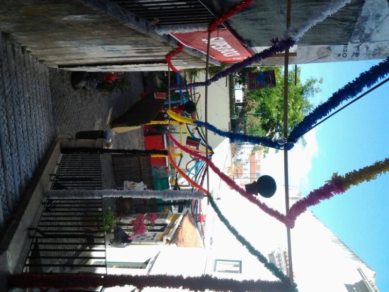 Private Tuk Tuk Tour Lisbon Old Town - Who Is This Tour Best For?