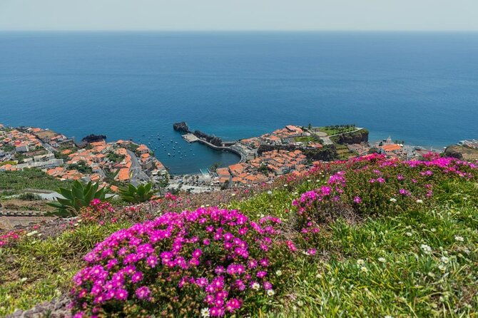 private-tuk-tuk-tour-on-camara-de-lobos-fishing-village