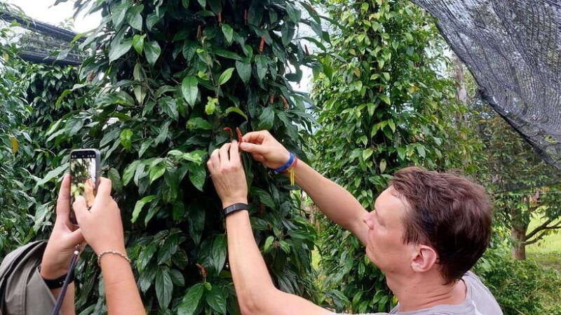 private-tuktuk-tour-pepper-farm-salt-field-secret-lake