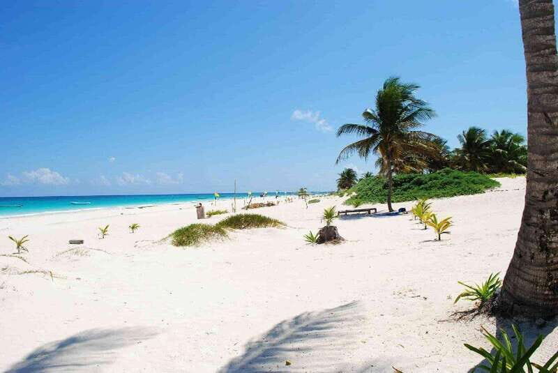 Private Tulum Ruins Express - Who Will Love This Tour?