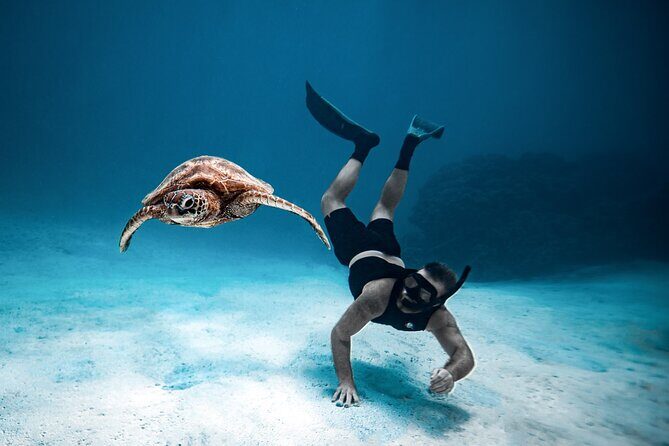 Private Turtle and Ray Tour Rarotonga - Final Thoughts