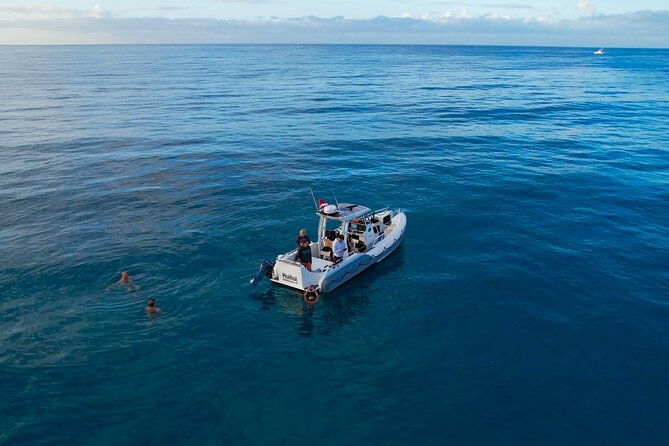 private-turtle-snorkel-cruise-waikiki-2