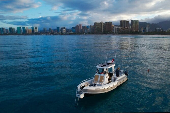 private-turtle-snorkel-cruise-waikiki