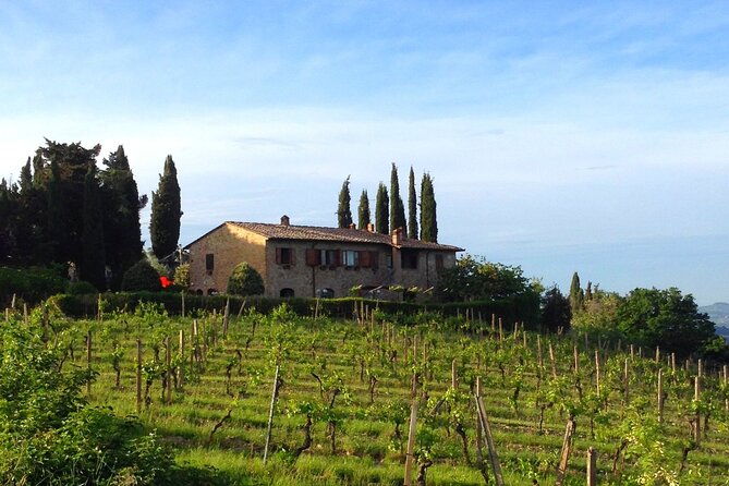 private-tuscan-meal-with-wine-and-evo-oil-tasting