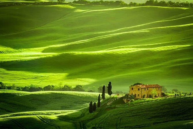Private: Tuscany Day Tour from Rome with Optional Wine Tasting - Who Should Book This Tour?