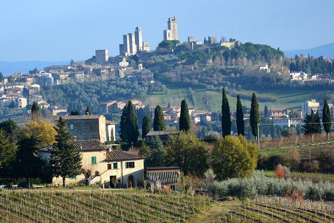 private-tuscany-day-tour-san-gimignano-and-chianti-wine-region-from-florence-2