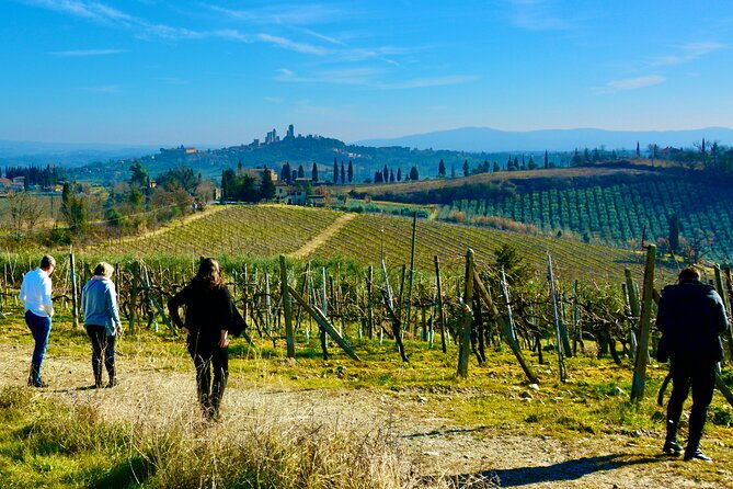 private-tuscany-day-tour-san-gimignano-and-chianti-wine-region-from-florence