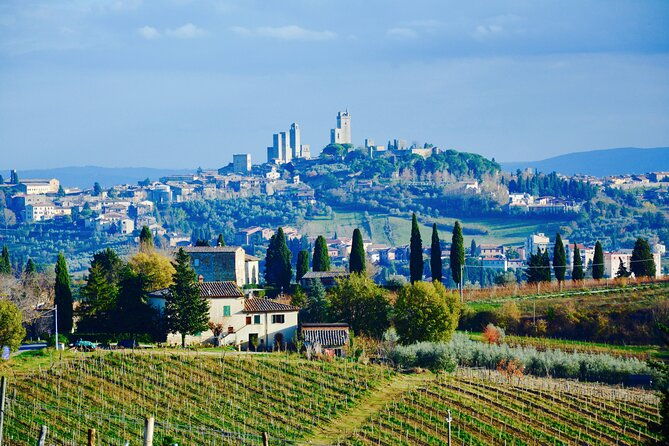 private-tuscany-day-tour-san-gimignano-and-chianti-wine-region-from-florence
