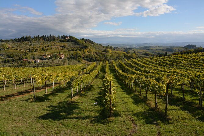 private-tuscany-day-tour-san-gimignano-and-chianti-wine-region-from-florence