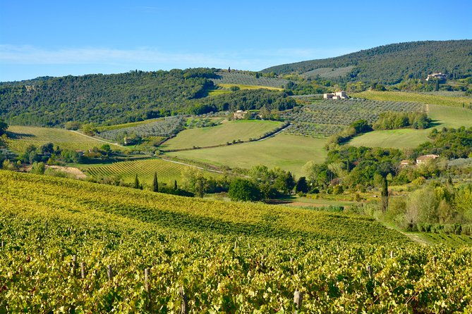 private-tuscany-day-tour-siena-and-chianti-wine-region-from-florence