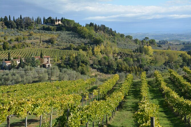 private-tuscany-day-trip-from-florence-including-the-leaning-tower-of-pisa
