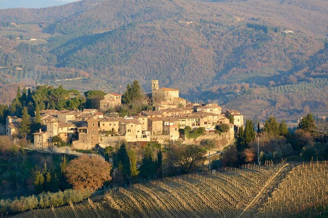 private-tuscany-excursion-florence-american-cemetery-greve-in-chianti-winery