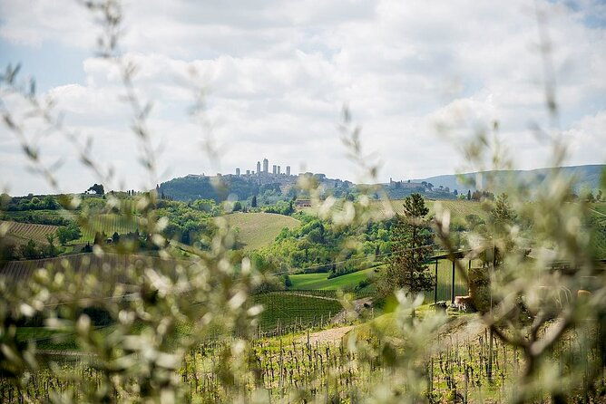 private-tuscany-tour-to-siena-and-san-gimignano-with-winery-lunch-2