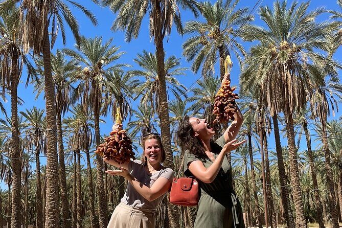 Private two-day tour in Biskra Date Palm Grove - What Makes This Tour Stand Out?