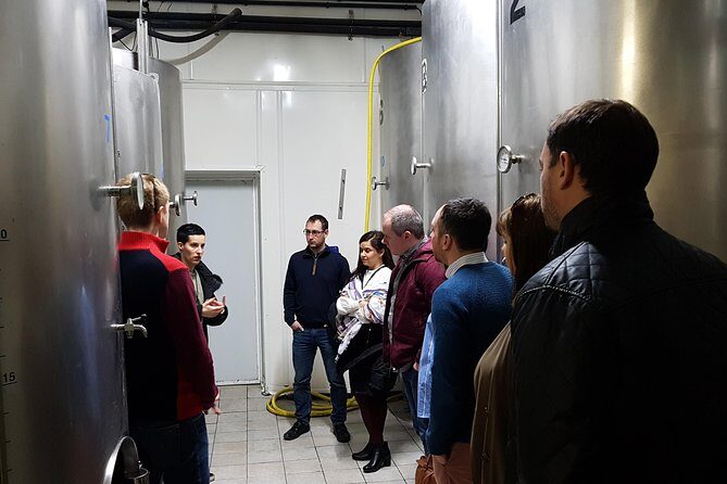 Private Txakoli Wine Tour through the Coast from San Sebastian - Who Will Love This Experience?