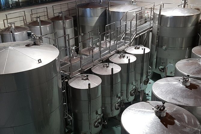 Private Txakoli Wine Tour through the Coast from San Sebastian - Practical Considerations