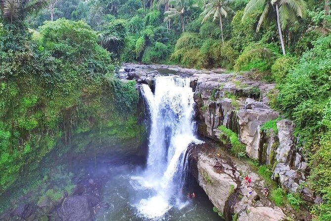 Private Ubud and Volcano Day Trip - The Experience: What You Can Expect