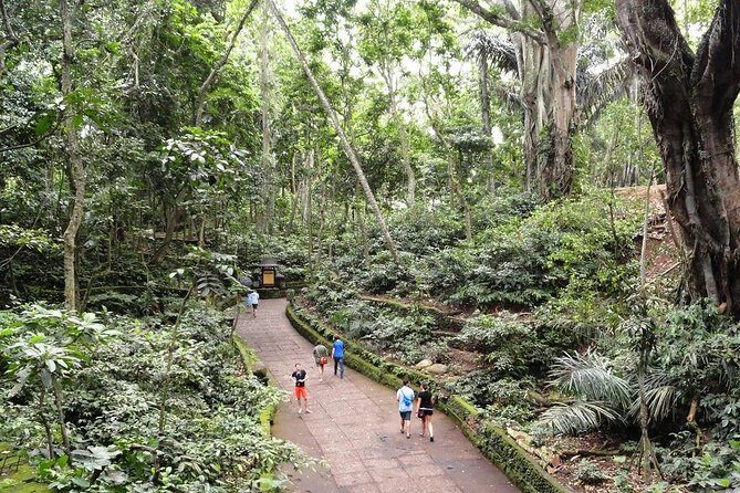 Private Ubud Day Tour - Practical Details and Logistics