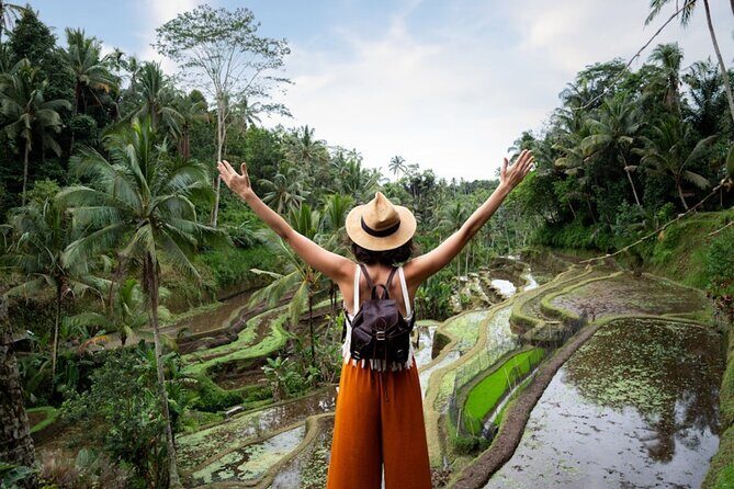 Private Ubud Day Tour Waterfalls Sacred Monkeys and Rice Fields - Key Points