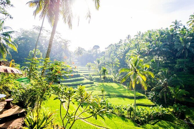 Private Ubud Day Tour Waterfalls Sacred Monkeys and Rice Fields - Frequently Asked Questions