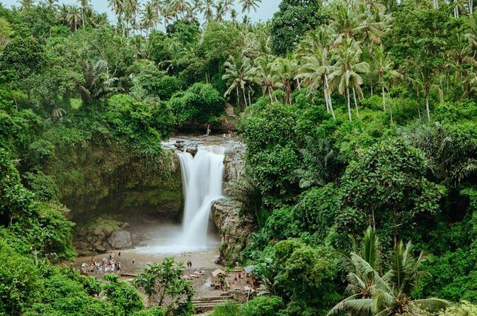 Private Ubud Day Tour Waterfalls Sacred Monkeys and Rice Fields - Final Thoughts