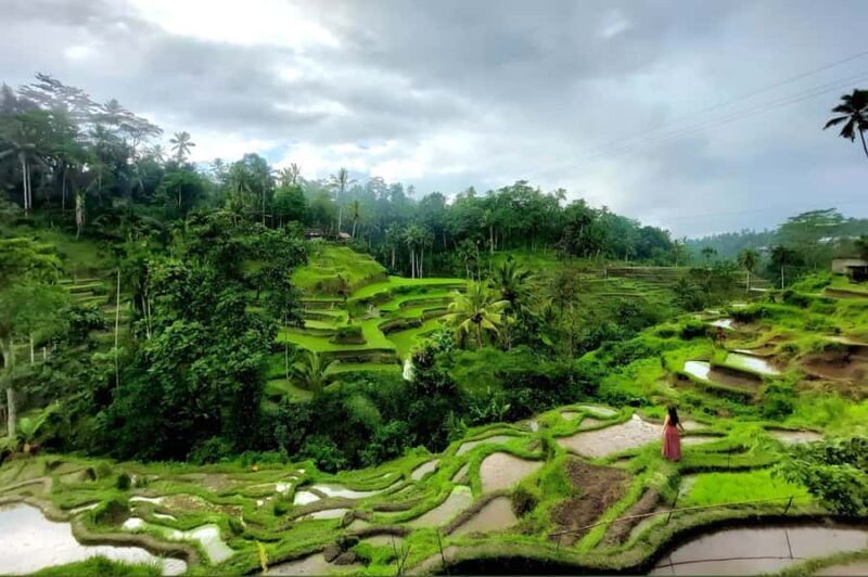 Private Ubud Highlights Midday Tour with Flexible Pickup - An In-Depth Look at the Tour