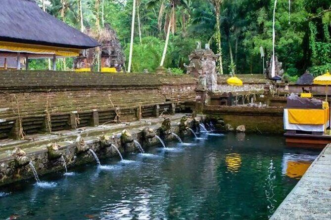 Private Ubud Tour - Authenticity and Review Highlights
