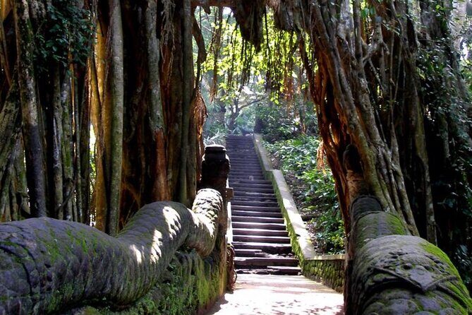 Private Ubud Tour and Quad Bike - The Itinerary in Detail