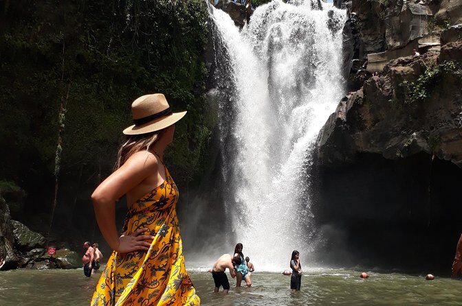 Private Ubud Tour Package - Final Stop: Ubud Traditional Art Market