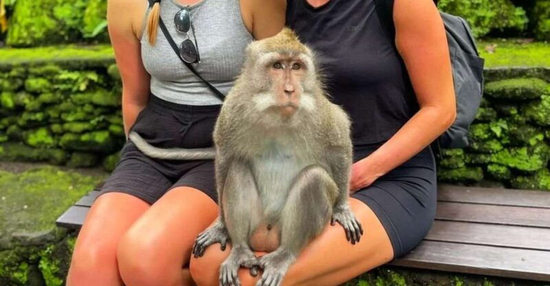 private-ubud-tour-rice-teracce-temple-secret-waterfall