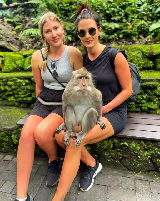 private-ubud-tour-rice-teracce-temple-secret-waterfall