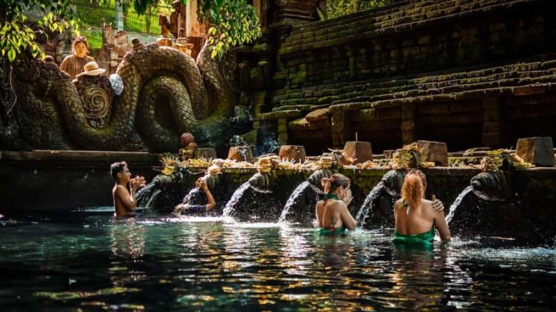 Private Ubud Tour: Sacred Monkeys, Coffee, Temple, Waterfall - Coffee Tasting: A Wake-Up Call