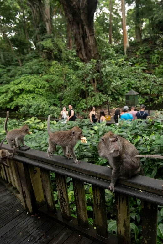 Private Ubud Tour: Sacred Monkeys, Coffee, Temple, Waterfall - Tegenungan Waterfall: Nature’s Refreshing Finish